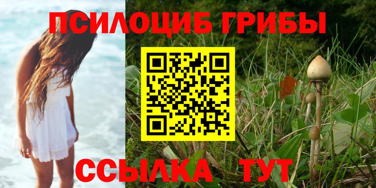 Галлюциногенные грибы Psilocybine cubensis Мытищи