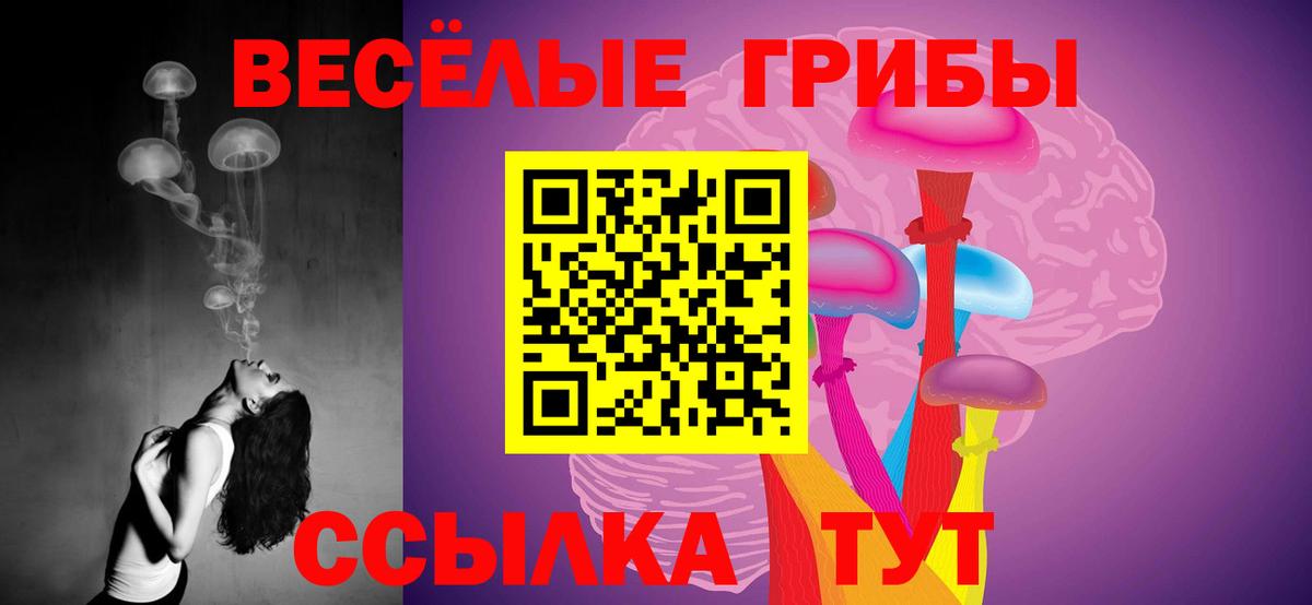 Мытищи  Галлюциногенные грибы Cubensis  Вход с VPN 
